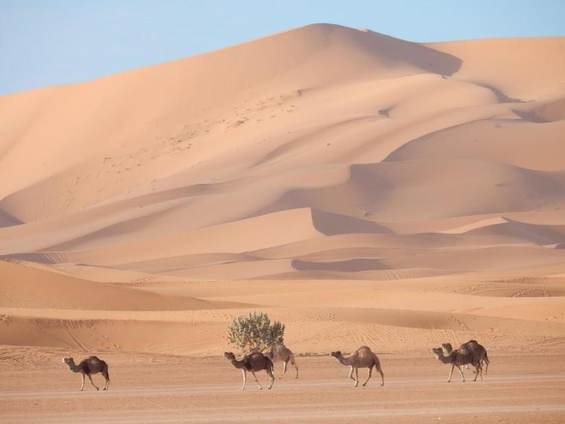 Auberge Sahara Garden Lac Yasmins Exterior photo